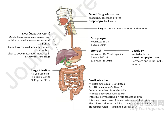 兒童用藥特點與兒童藥物研發(fā)指南