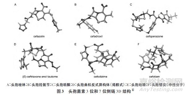 頭孢菌素雜質(zhì)毒性的評(píng)價(jià)策略與方法
