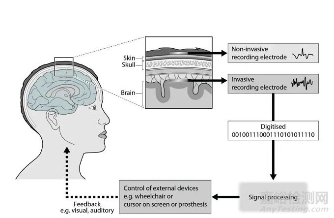 腦機(jī)接口技術(shù)解析