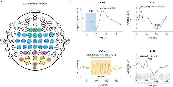 腦機(jī)接口技術(shù)解析