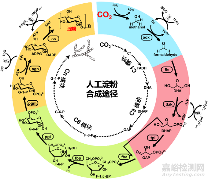 2021年度中國科學十大進展發(fā)布