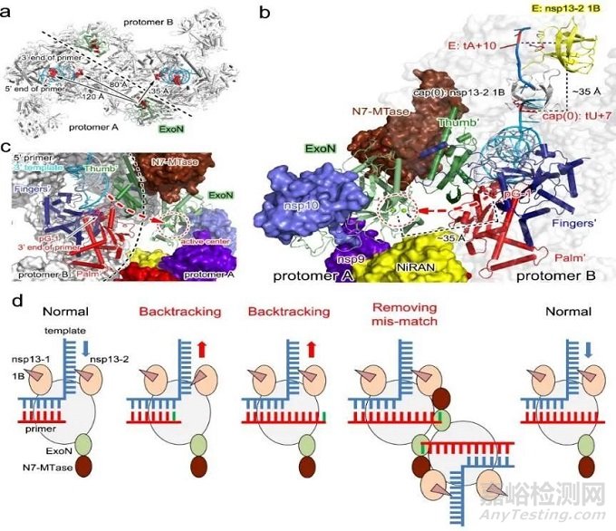 2021年度中國科學十大進展發(fā)布