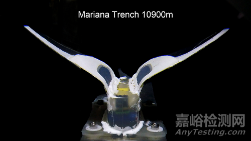 2021年度中國科學十大進展發(fā)布