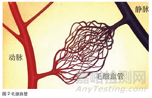 大容量注射劑質(zhì)量安全分析