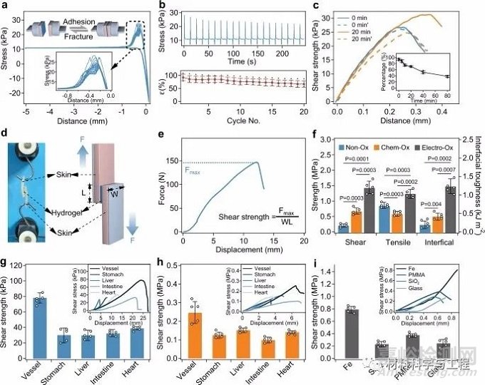 南大《Nature Commun》：超強水凝膠膠帶！縫合黑科技