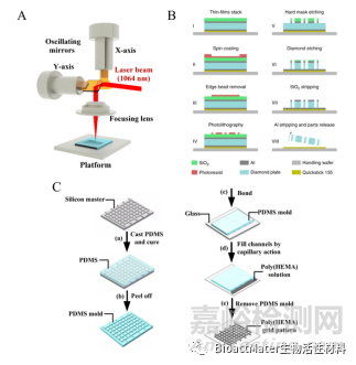 用于外周神經(jīng)和脊髓再生的各向異性支架