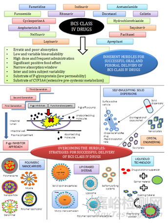 通過脂質(zhì)技術(shù)提高BCS IV類藥物生物利用度