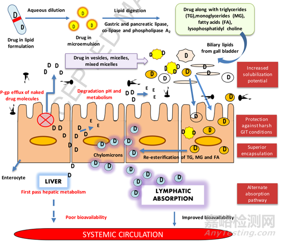 通過脂質(zhì)技術(shù)提高BCS IV類藥物生物利用度