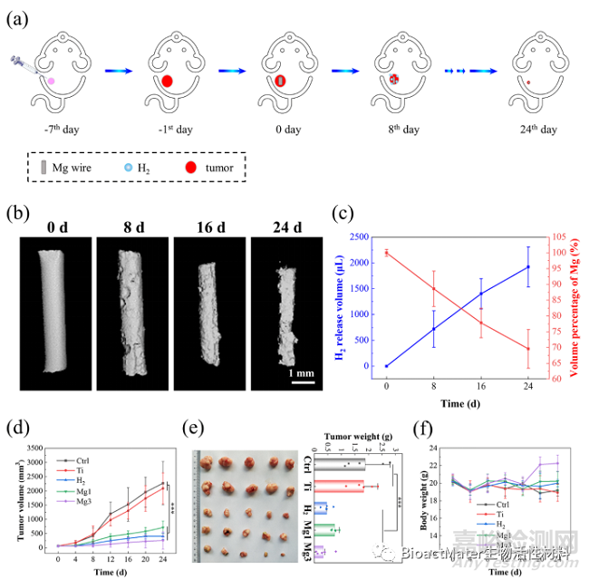 鎂植入物可控釋放氫氣誘導(dǎo)p53介導(dǎo)的腫瘤細(xì)胞凋亡