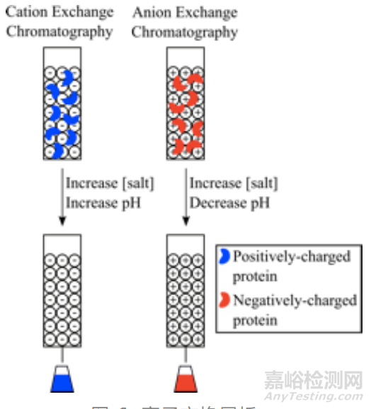 蛋白質(zhì)純化方法經(jīng)典攻略