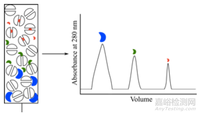 蛋白質(zhì)純化方法經(jīng)典攻略