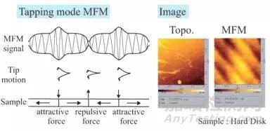 一文讀懂原子力顯微鏡(AFM)測試