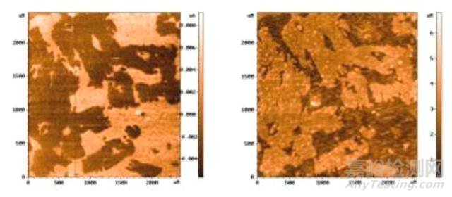 一文讀懂原子力顯微鏡(AFM)測試
