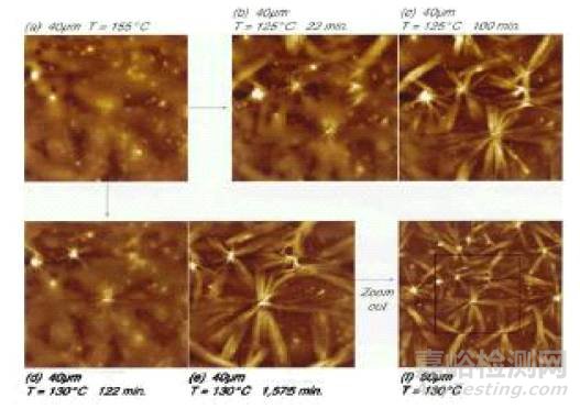 一文讀懂原子力顯微鏡(AFM)測試