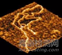 一文讀懂原子力顯微鏡(AFM)測試