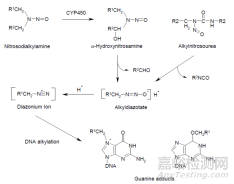 FDA關(guān)于藥物中亞硝胺雜質(zhì)的七問與七答