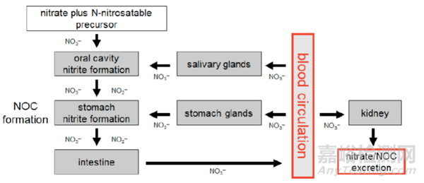 FDA關(guān)于藥物中亞硝胺雜質(zhì)的七問與七答