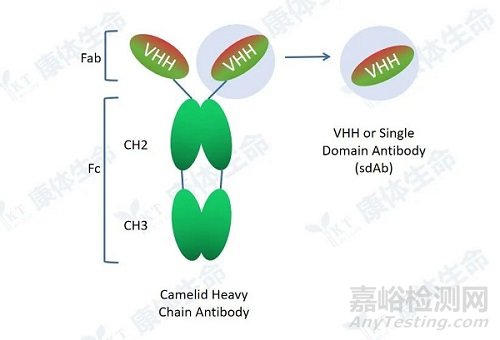 如何制備納米抗體