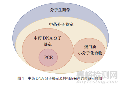 DNA 分子鑒定技術在中藥標準中的應用和有關問題