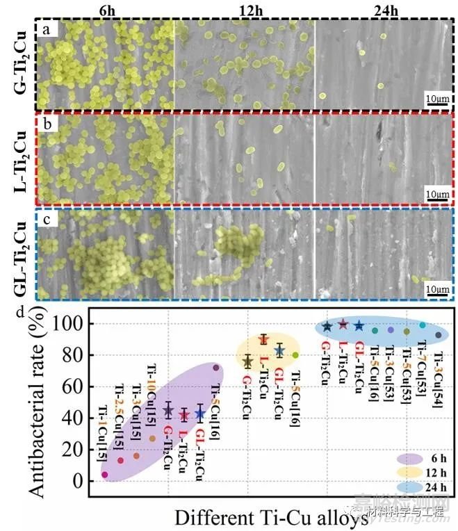《Mater Des》：牙科用Ti-Cu合金的生物腐蝕行為和抗菌性能！