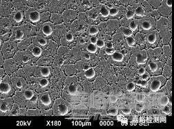 如何評(píng)價(jià)材料的耐腐蝕性能