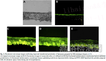 噴霧冷凍技術(shù)介紹