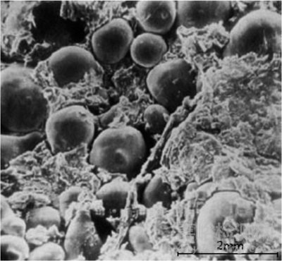 表面涂層技術(shù)在人工髖關(guān)節(jié)領(lǐng)域的應(yīng)用現(xiàn)狀及評價方法