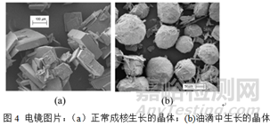 結(jié)晶過(guò)程中“出油”及其應(yīng)對(duì)策略