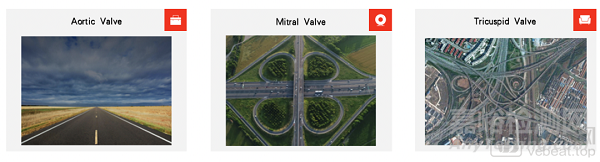 中國(guó)心臟瓣膜行業(yè)回顧、對(duì)比和展望