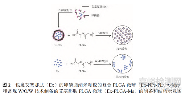 微球與原位凝膠植入劑長(zhǎng)效策略與控制突釋的研究進(jìn)展