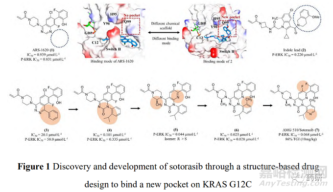 2021年首創(chuàng)性小分子藥物研究實例淺析