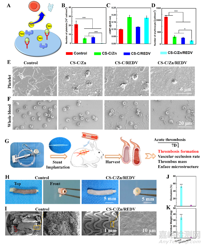 四川大學(xué)王云兵：仿生內(nèi)皮細(xì)胞功能涂層用于促進(jìn)血管愈合