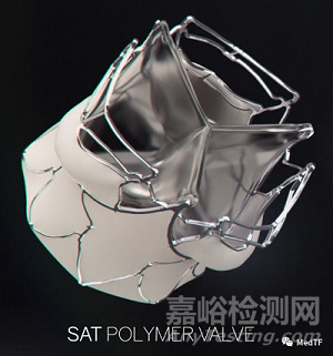 球擴(kuò)生物聚合物TAVR