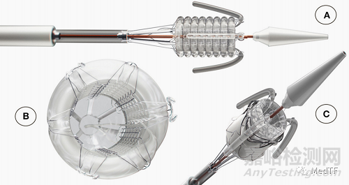 球擴(kuò)生物聚合物TAVR