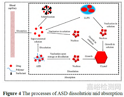 無(wú)定形固體分散體的溶出與吸收研究進(jìn)展