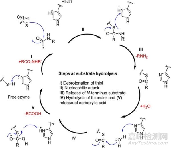 輝瑞新冠藥物設(shè)計(jì)隱含的細(xì)節(jié)