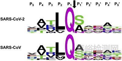 輝瑞新冠藥物設(shè)計(jì)隱含的細(xì)節(jié)