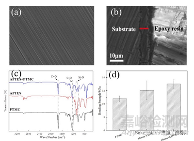 一種具有穩(wěn)定藥物釋放能力和良好耐腐蝕性能的表面侵蝕降解PTMC涂層用于鎂基血管支架
