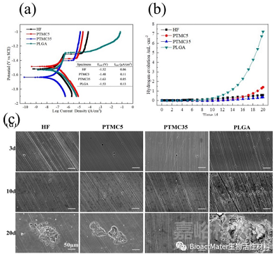 一種具有穩(wěn)定藥物釋放能力和良好耐腐蝕性能的表面侵蝕降解PTMC涂層用于鎂基血管支架