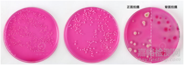 如何理解微生物檢測中的CFU
