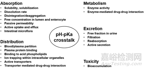 藥物吸收影響因素之藥物理化性質(zhì)及體液環(huán)境