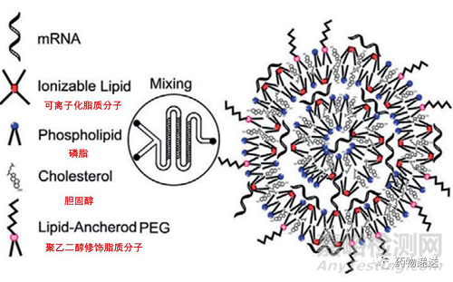 藥物遞送技術(shù)詳解