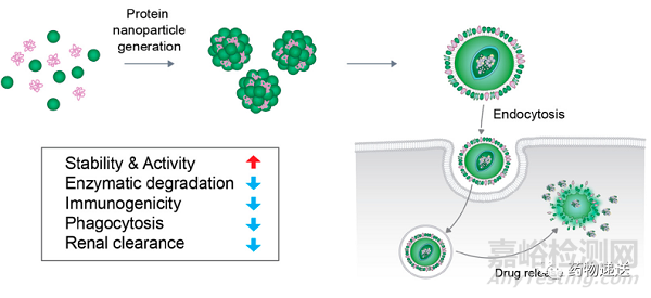 藥物遞送技術(shù)詳解