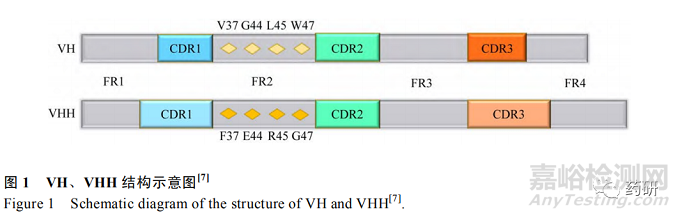 納米抗體技術(shù)應(yīng)用的最新進(jìn)展