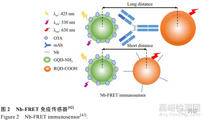 納米抗體技術(shù)應(yīng)用的最新進(jìn)展