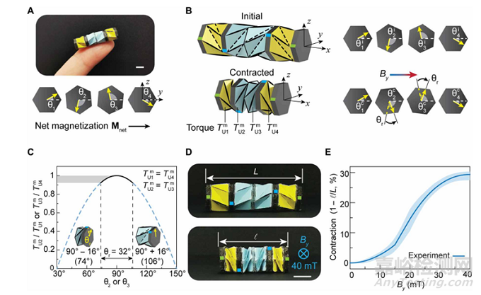 斯坦福大學(xué)開發(fā)了一種磁控式折紙機器人