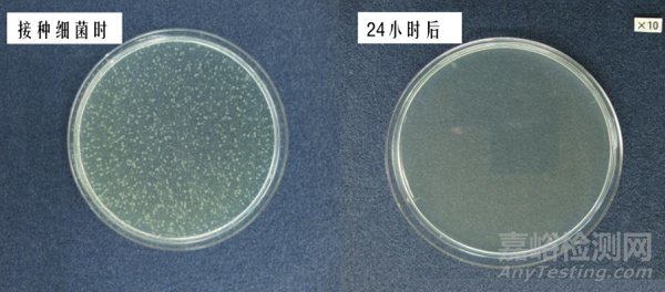抗菌塑料的評估