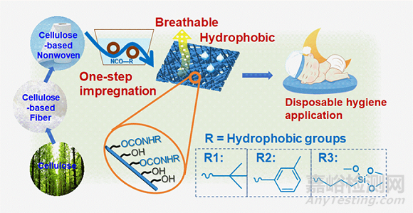 東華大學(xué)烏婧/鄒黎明/王華平研發(fā)了一次性醫(yī)衛(wèi)用疏水透氣纖維素非織造布