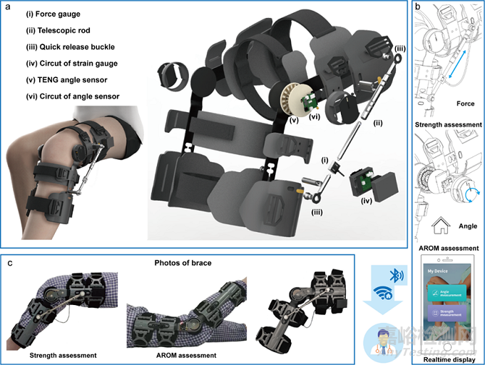 智能支具-TENG角度傳感和肌力傳感系統(tǒng)，用于全膝關(guān)節(jié)置換手術(shù)患者康復(fù)