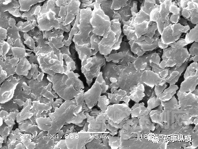 潤滑劑對干法制粒，薄片整粒和壓片的影響